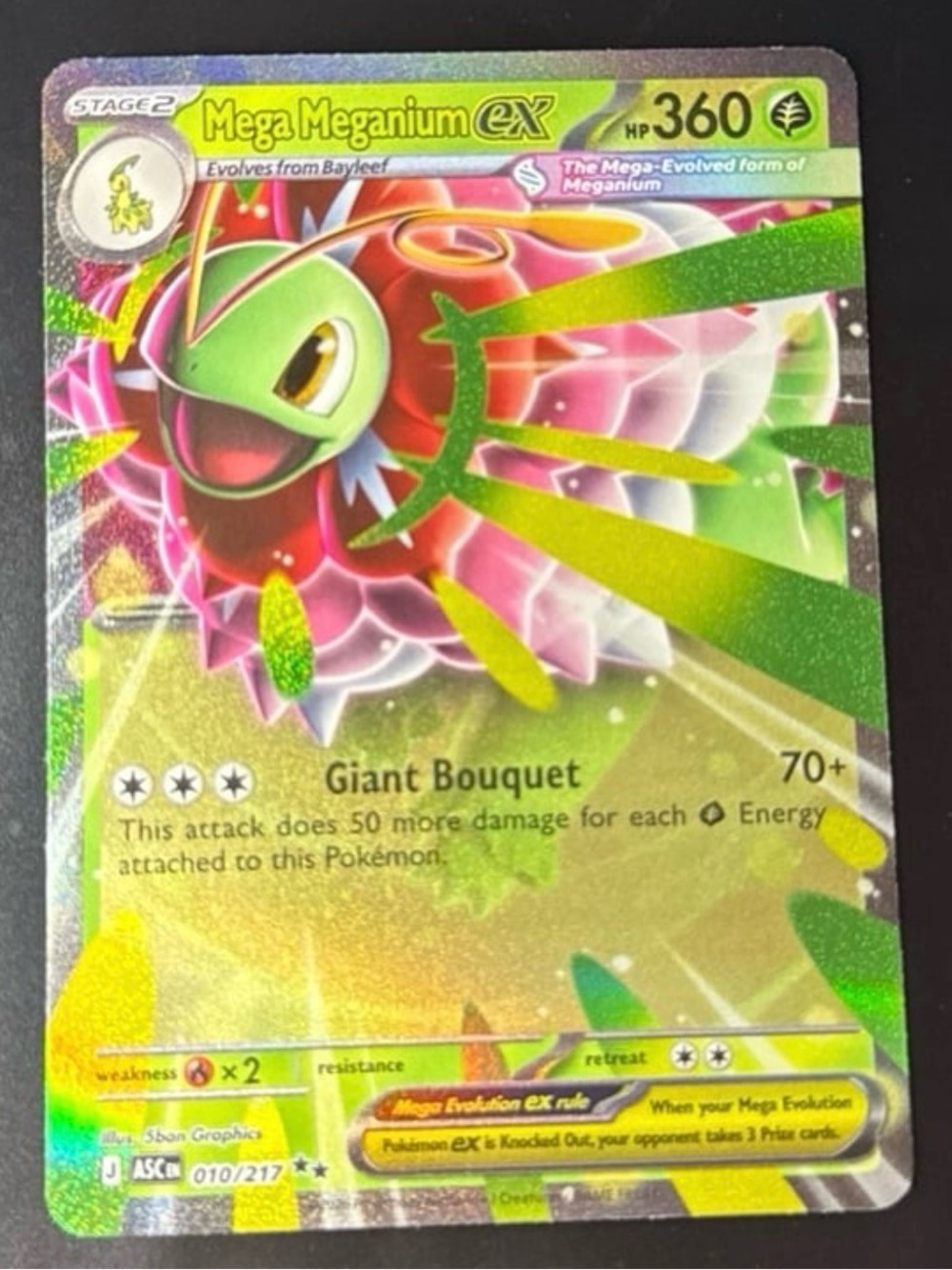 Mega Meganium EX 10/217 Holofoil 2026 released Mega Evolution: Ascended Hereo NM